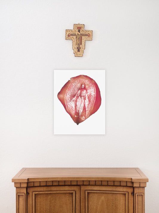 Our Lady Miraculous Medal Devotional Catholic Wall Art Print