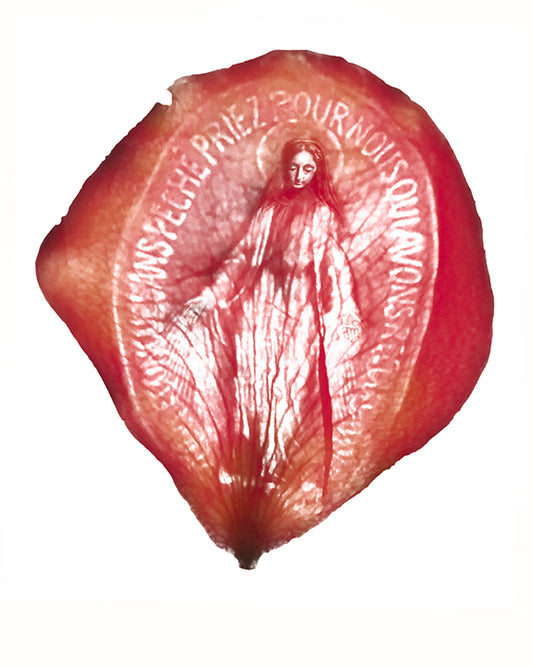 Miraculous Medal Catholic Printable Wall Art by BenedictaBoutique - benedictaveils