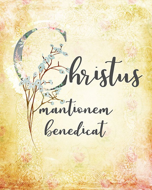 May Christ Bless the House Printable Digital Download - benedictaveils