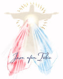 Divine Mercy Jesus I trust in You Image