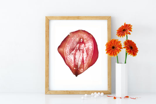 Miraculous Medal Catholic Printable Wall Art by BenedictaBoutique - benedictaveils