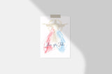 Divine Mercy Jesus I trust in You Image